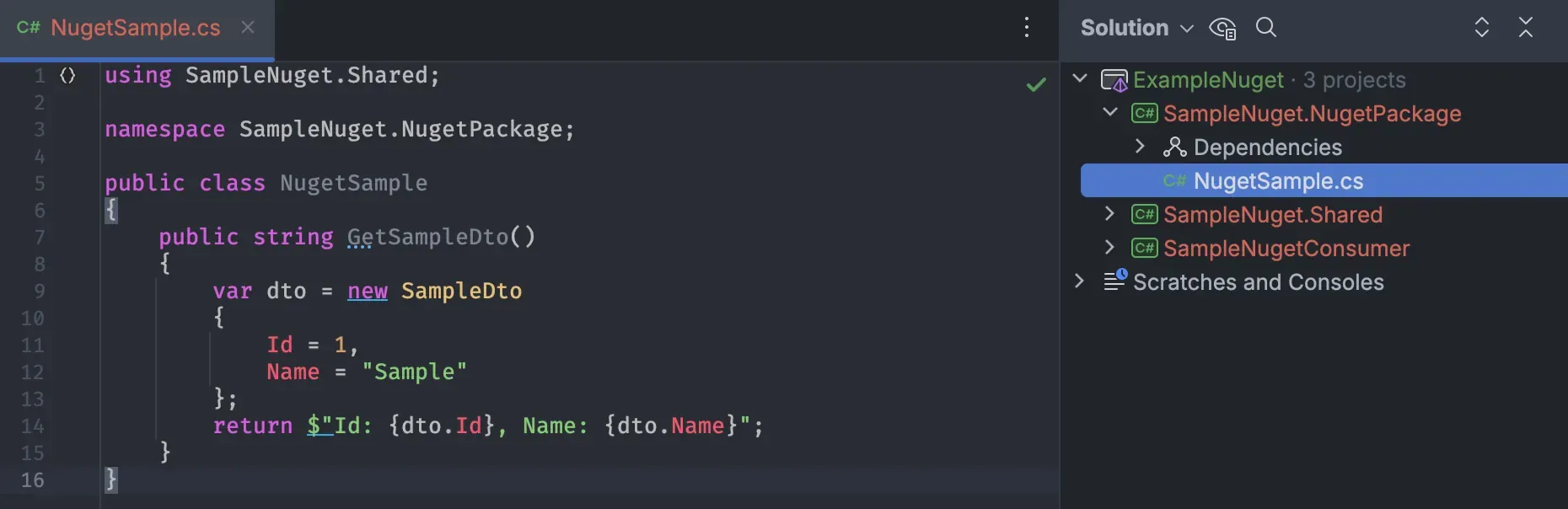 Set up of the example NuGet project